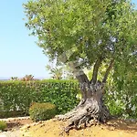 Miguel Estômbar