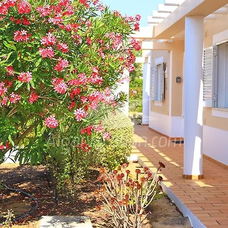 Miguel Villa Estombar