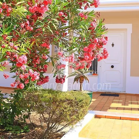 Miguel 别墅 埃斯坦巴